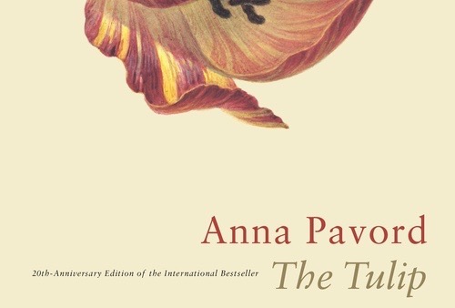 The Tulip: 20th-Anniversary Edition By Anna Pavord - Landscape ...